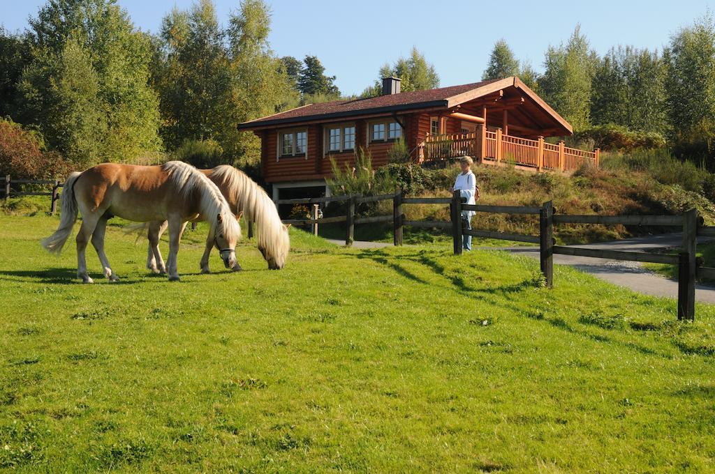 Hotelanlage Country Lodge アルンスベルク エクステリア 写真